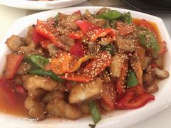 -煲来饱去冷水鱼