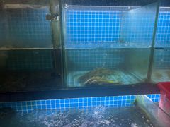 -翠茗农庄土菜馆(天目湖店)