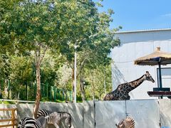 -水上乐园·欢乐世界