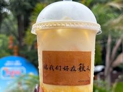 -HERRE·FARM 赫尔露营农场·团建聚会包场