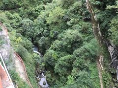-鹿院坪生态旅游景区