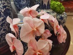 -北京中国大饭店