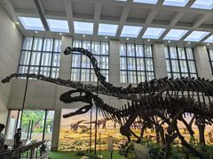 -广西壮族自治区博物馆