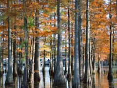 -白鹭湾湿地公园