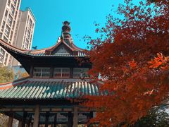 -长沙市青少年宫