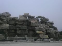 android_upload_pic-石家庄市植物园