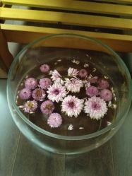 -彩虹之门健康管理