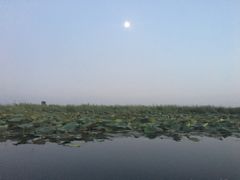 -白洋淀景区