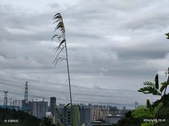 -马峦山郊野公园