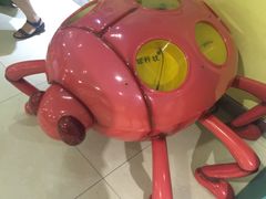 -上海昆虫博物馆