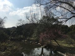 -白马涧龙池景区