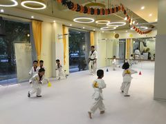 -勇气斑马·巴西柔术&跆拳道(浦东三林店)