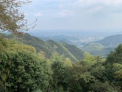 -莫干山风景区