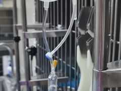 -康成宠物医院24H·CT·核磁共振
