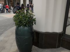 -lululemon(比斯特购物村店)