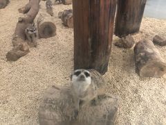 -海合安武汉极地海洋公园