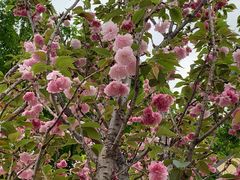 -观澜湖生态运动公社