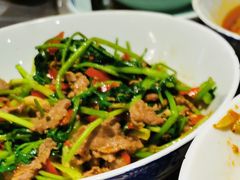 -壹盏灯(惠农店)