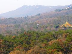 -灵谷景区