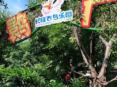 -广州长隆飞鸟乐园