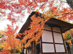 -常寂光寺