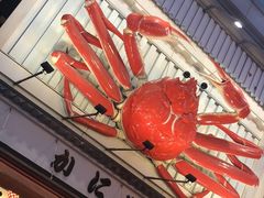 -蟹道乐(道顿堀本店)