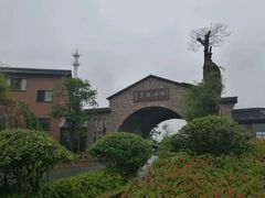-千岛湖石林