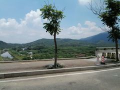 -清溪森林公园