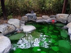 -颐和澜悦欢乐水世界(原颐和温泉城)