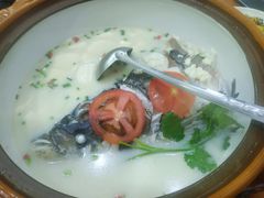 -全乐鱼馆·淳牌有机鱼直营店