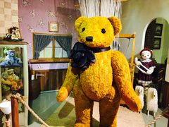 -济州岛泰迪熊博物馆