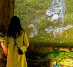 -恐龙探索乐园(磁器口店)