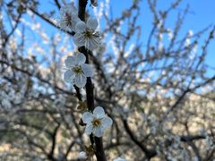 -广州市流溪河国家森林公园