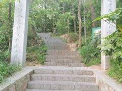 -紫金山山顶公园