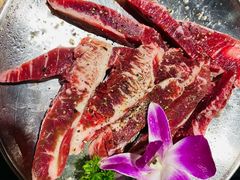 烤肋条-牛炙烤肉(车公庙店)