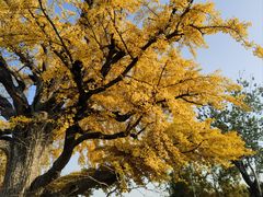 -清华大学玉泉医院