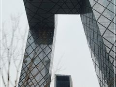 -中央广播电视总台(光华路办公区)