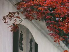 -艺圃
