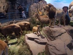 -陕西自然博物馆