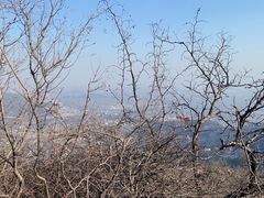 -香山公园