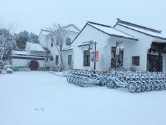 -梁鸿国家湿地公园