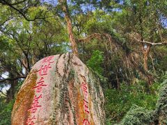 -青芝山风景名胜区