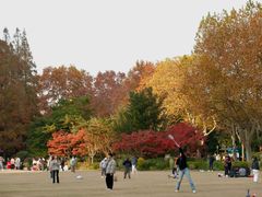 -中山公园
