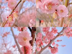 -蜀冈西峰生态公园