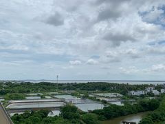 -东寨港红树林旅游区