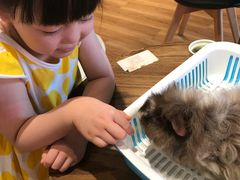 -藦茜花园宠物主题亲子互动体验馆(国顺东路店)