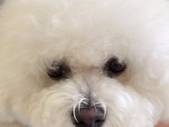 -美联众合动物医院·24h转诊中心