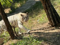 -大连森林动物园