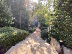 -天目湖涵田半山温泉