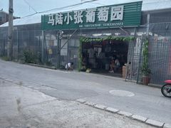 -马陆小张葡萄园农家乐